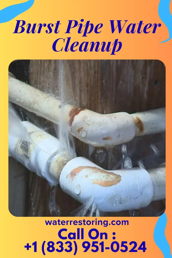 Burst Pipe Water Cleanup in Caledonia, MN