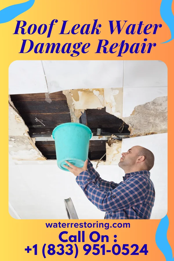 Roof Leak Water Damage Repair in Caledonia, MN